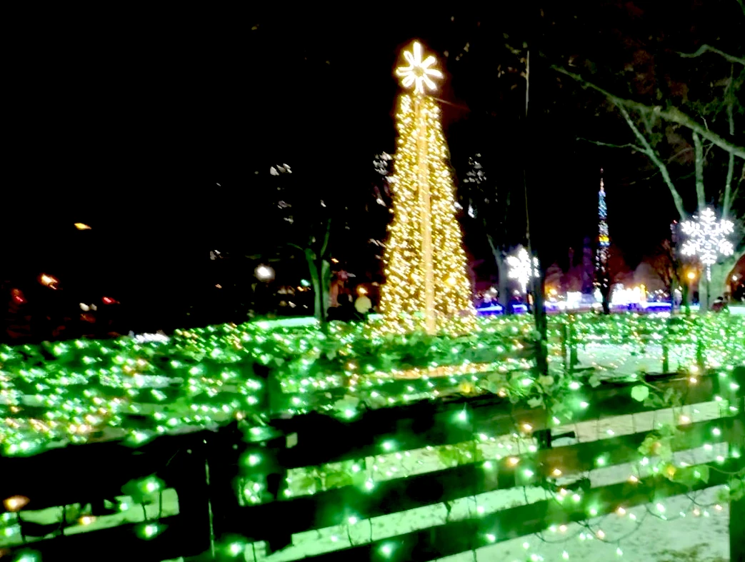 さっぽろホワイトイルミネーション 「エメラルド・フォレスト」